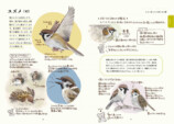 野鳥イラスト満載『ココロさえずる野鳥ノート』の画像