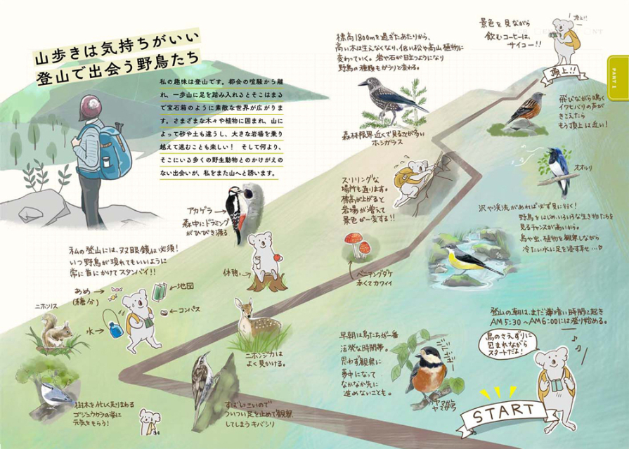 野鳥イラスト満載『ココロさえずる野鳥ノート』の画像