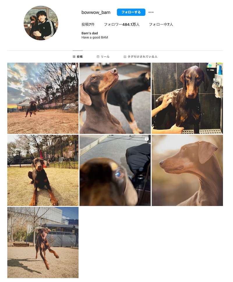 BTS、兵役中もSNSでARMYと繋がり続ける