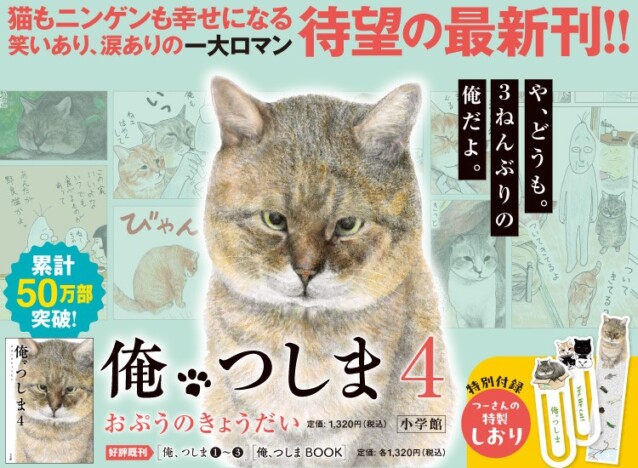 「猫のタッチが最もリアル」が話題　累計50万部の痛快な猫マンガ「俺、つしま」最新刊の内容は？