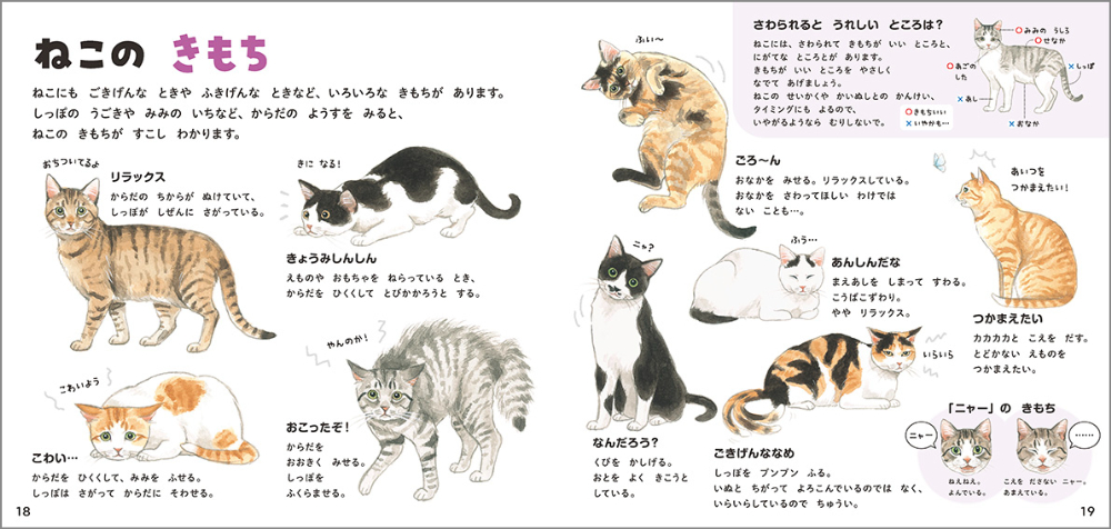 いやされる人続出の動物絵本図鑑4作が重版の画像