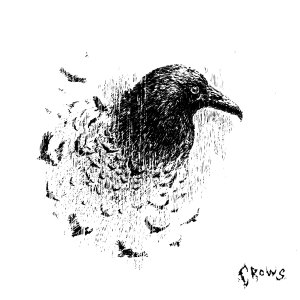 rouri404『crows』ジャケット写真