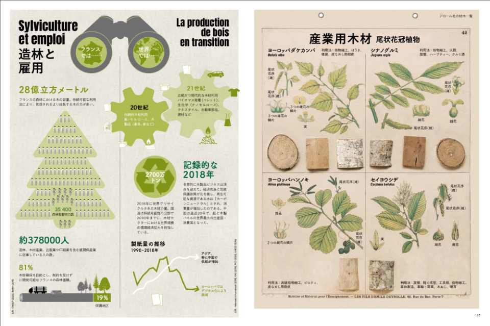 木に関する雑学知識満載『木を知る図鑑』の画像