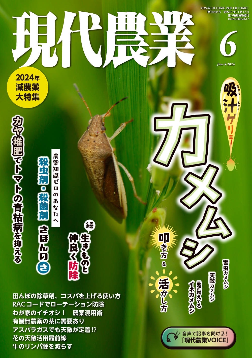 カメムシ、大量発生がトレンドに 自宅に侵入したらどうすれば? 駆除するのに使える身近なアイテム|Real Sound|リアルサウンド ブック