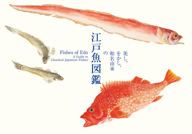 江戸時代はどんな魚がいた？　博物画家の美しい図譜からわかる書籍『美し、をかし、和名由来の江戸魚図鑑』
