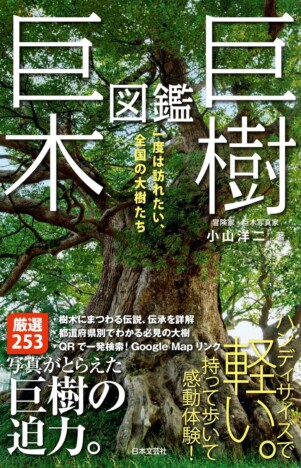 【重版情報】途方もない年月を生き抜いてきた巨木たちを美しい写真で紹介する『巨樹・巨木図鑑』が話題