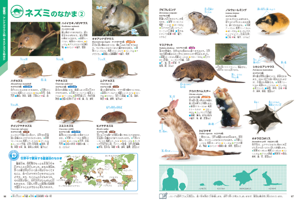 収録種数No.1『学研の図鑑LIVE 動物 新版』の画像