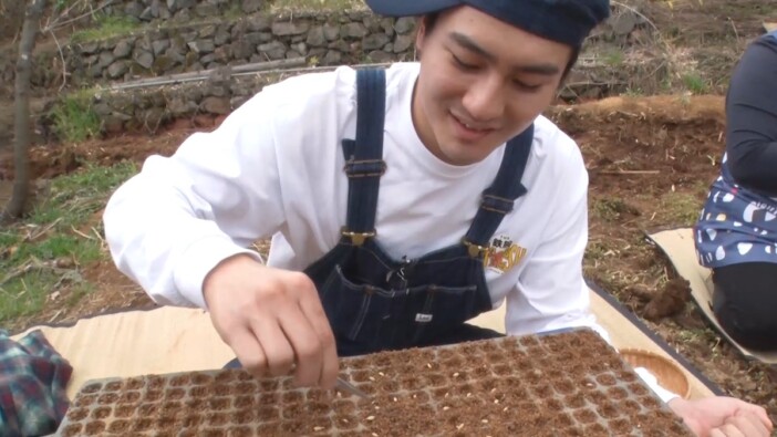 『ザ！鉄腕！DASH!!』、DASH村24年目の米作り始動　SixTONES 森本慎太郎が初の種まきで“大革命”