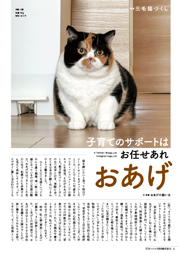 「三毛猫づくし」の可愛すぎる猫マガジンの画像