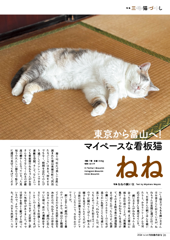 「三毛猫づくし」の可愛すぎる猫マガジンの画像