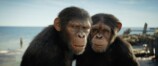 『猿の惑星／キングダム』は“映像で語る”の画像