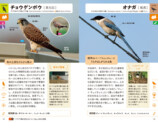 代表的な野鳥330種を収録した『野鳥図鑑』の画像