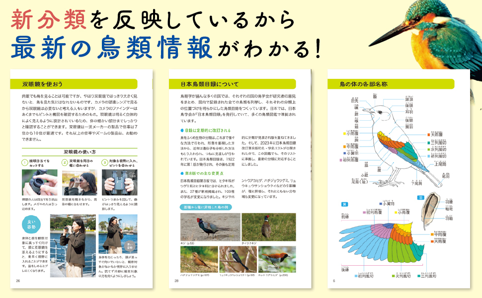 代表的な野鳥330種を収録した『野鳥図鑑』の画像