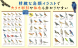 代表的な野鳥330種を収録した『野鳥図鑑』の画像