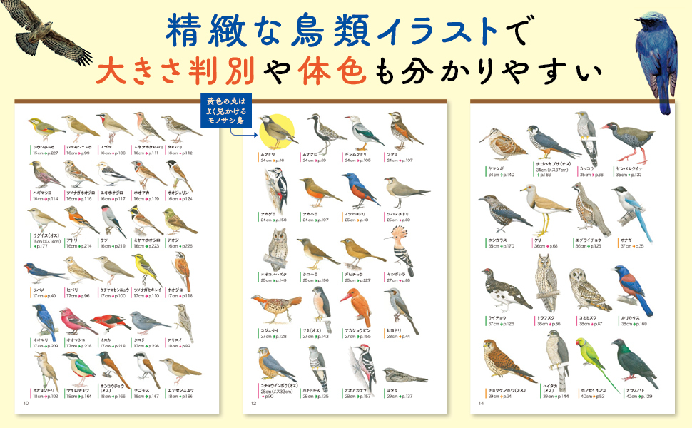 代表的な野鳥330種を収録した『野鳥図鑑』の画像