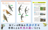 代表的な野鳥330種を収録した『野鳥図鑑』の画像