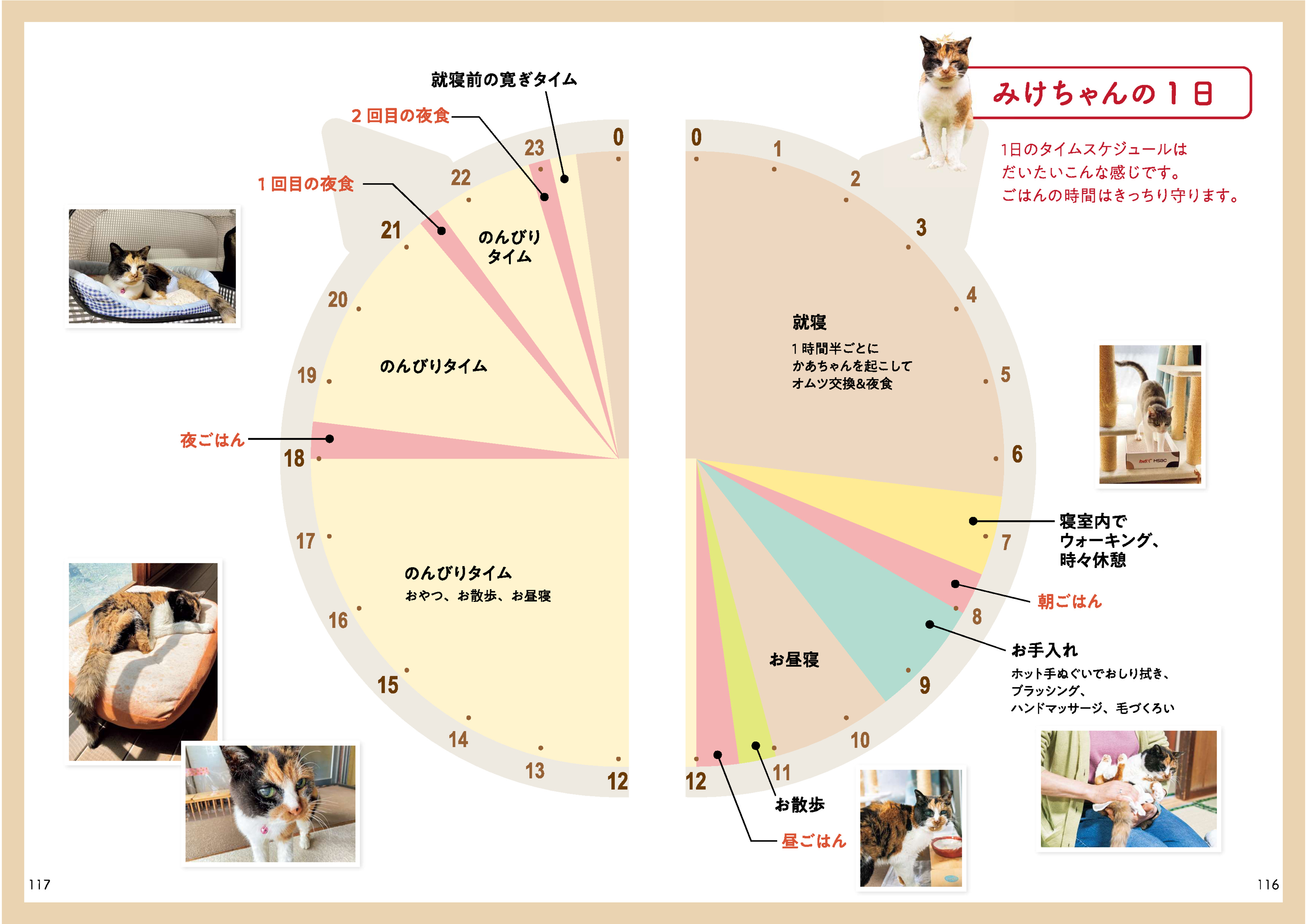 【重版情報】人間なら116歳“奇跡の猫”の画像