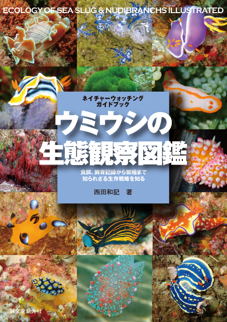 色鮮やかな232種掲載『ウミウシの生態観察図鑑』