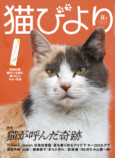 可愛らしい猫が多数登場『猫びより』2024年夏号の画像