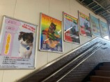 猫好き、JR駅構内のポスターに賞賛の声の画像