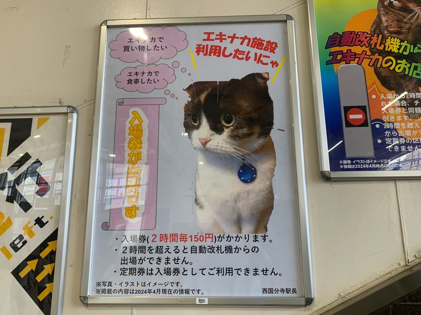 猫好き、JR駅構内のポスターに賞賛の声の画像