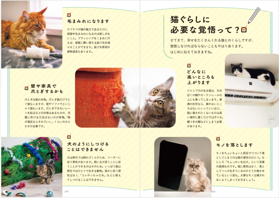 はじめて猫を飼う人におすすめ『猫とくらそう』の画像