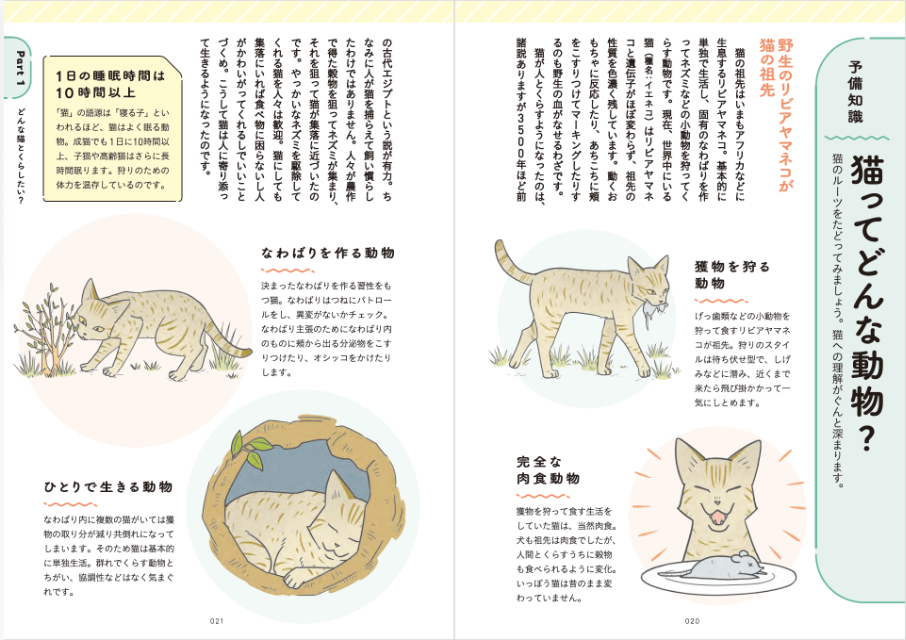 はじめて猫を飼う人におすすめ『猫とくらそう』の画像