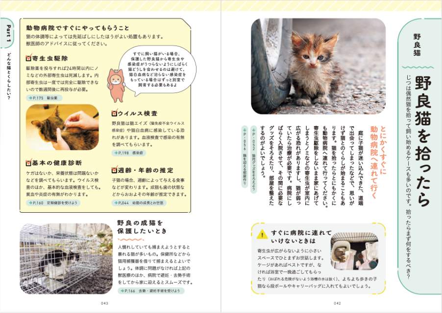 はじめて猫を飼う人におすすめ『猫とくらそう』の画像