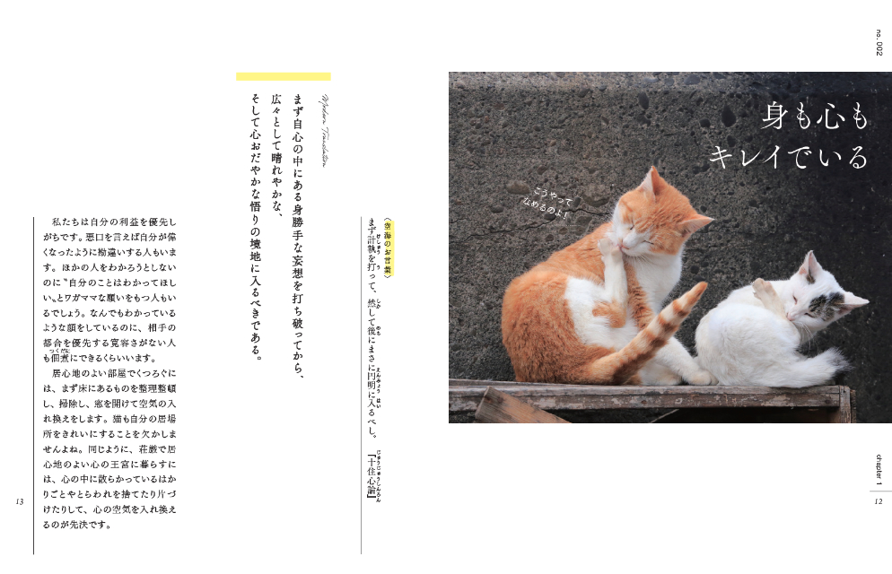 空海×猫の教えを学ぶ『ニャンと空海』の画像