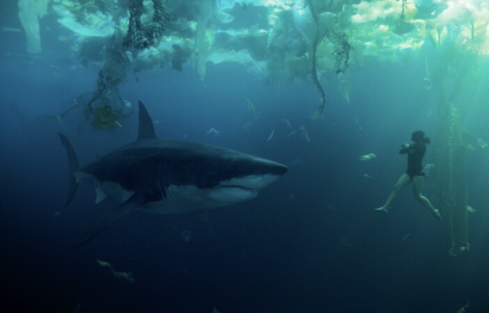 サメは我々のすぐそばに　Netflix『セーヌ川の水面の下に』で味わう衝撃の「はあ？」体験
