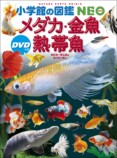 芦田愛菜が新ビジュアルの「小学館の図鑑NEO」　最新刊は“おうちで飼える魚”がテーマの画像