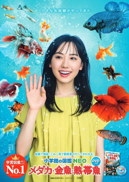 芦田愛菜が新ビジュアルの「小学館の図鑑NEO」　最新刊は“おうちで飼える魚”がテーマ