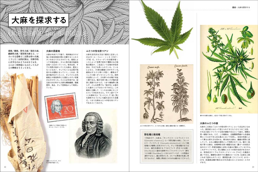 「大麻博物館」館長監修の『麻を知る図鑑』の画像