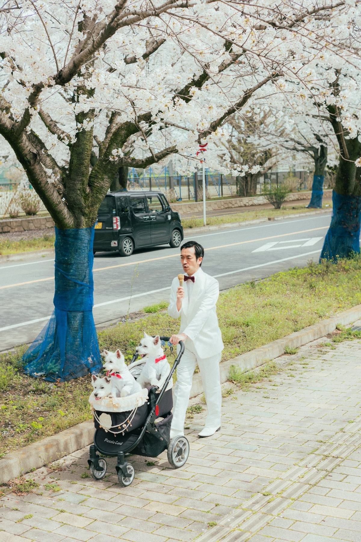 “ムーディ勝山と犬”の写真、なぜバズった？の画像