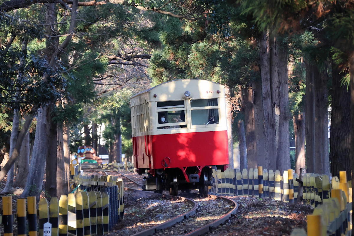 廃線から読み解く鉄道史