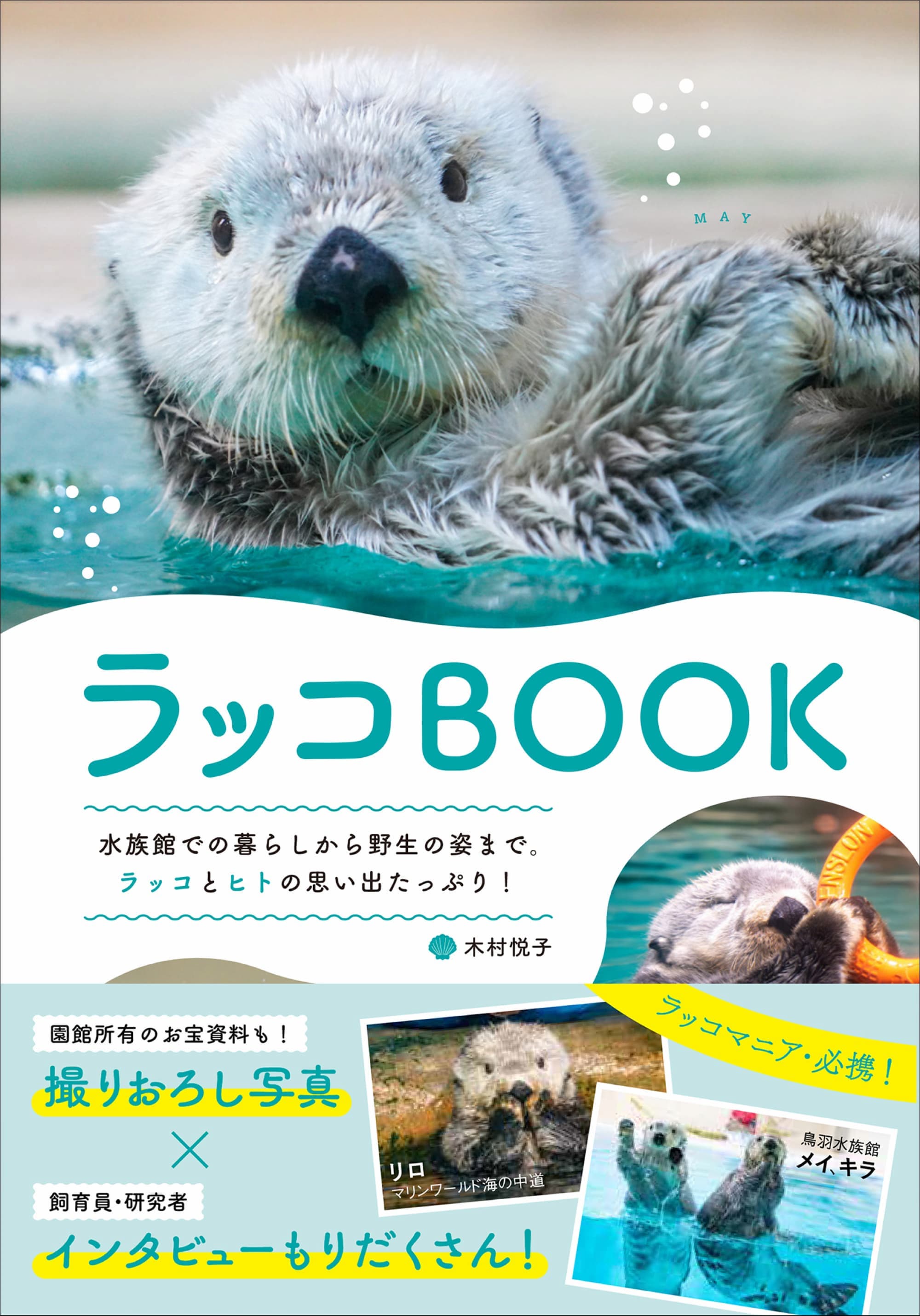 ラッコがたっぷり詰まった『ラッコBOOK』重版の画像