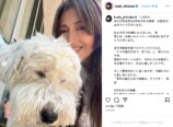 木村家、愛犬との別れに悲しみの画像