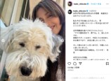 木村家、愛犬との別れに悲しみの画像