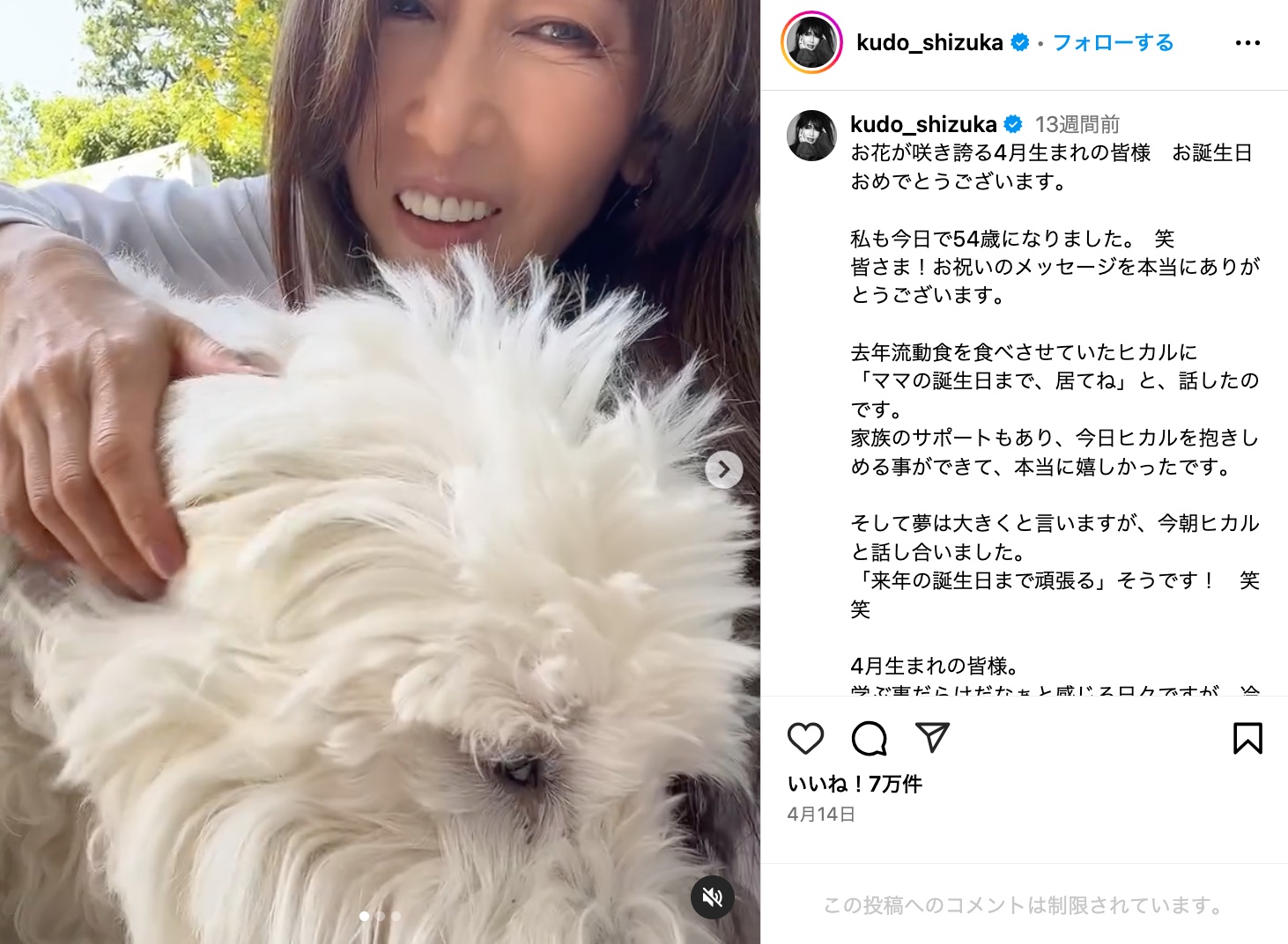 木村家、愛犬との別れに悲しみの画像