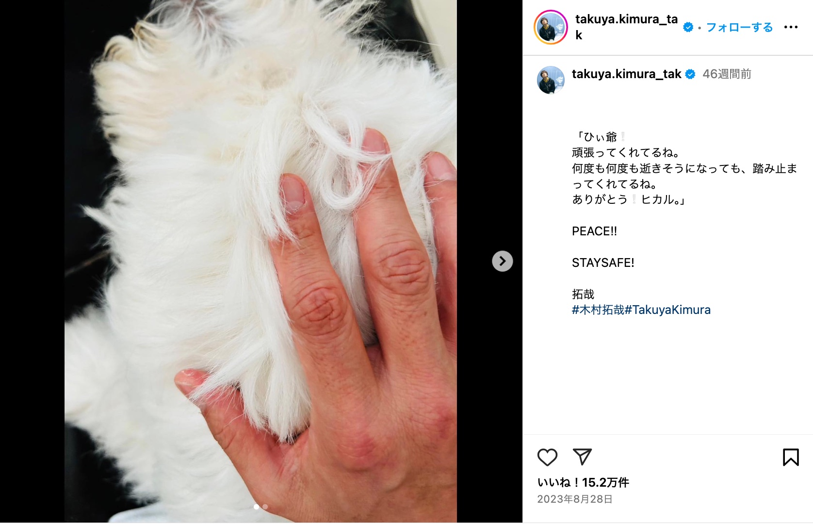 木村家、愛犬との別れに悲しみの画像