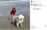 木村家、愛犬との別れに悲しみの画像