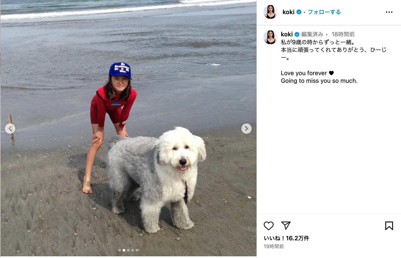 木村家、愛犬との別れに悲しみの画像