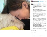 工藤静香、愛犬との別れに深い悲しみの画像