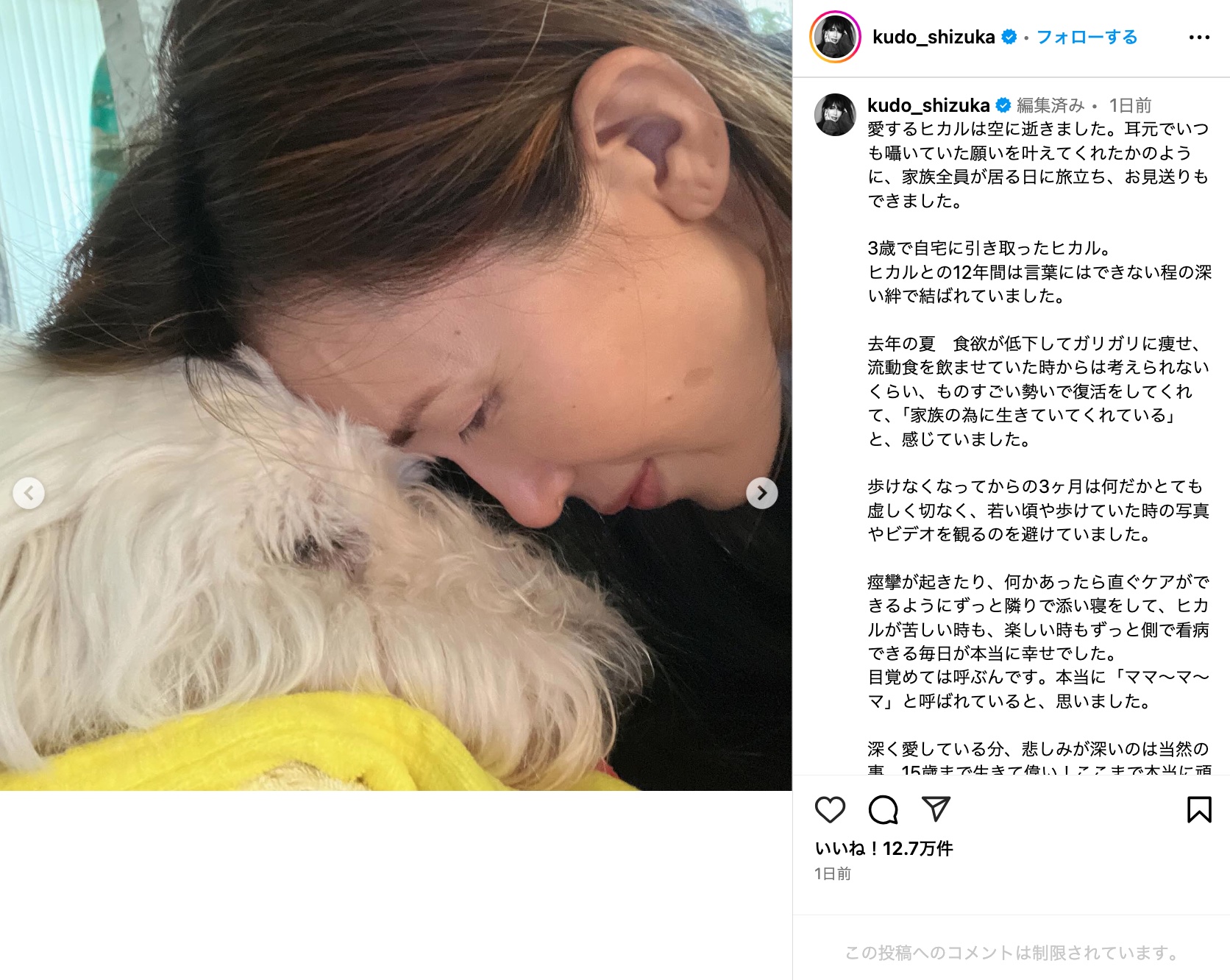 工藤静香、愛犬との別れに深い悲しみの画像