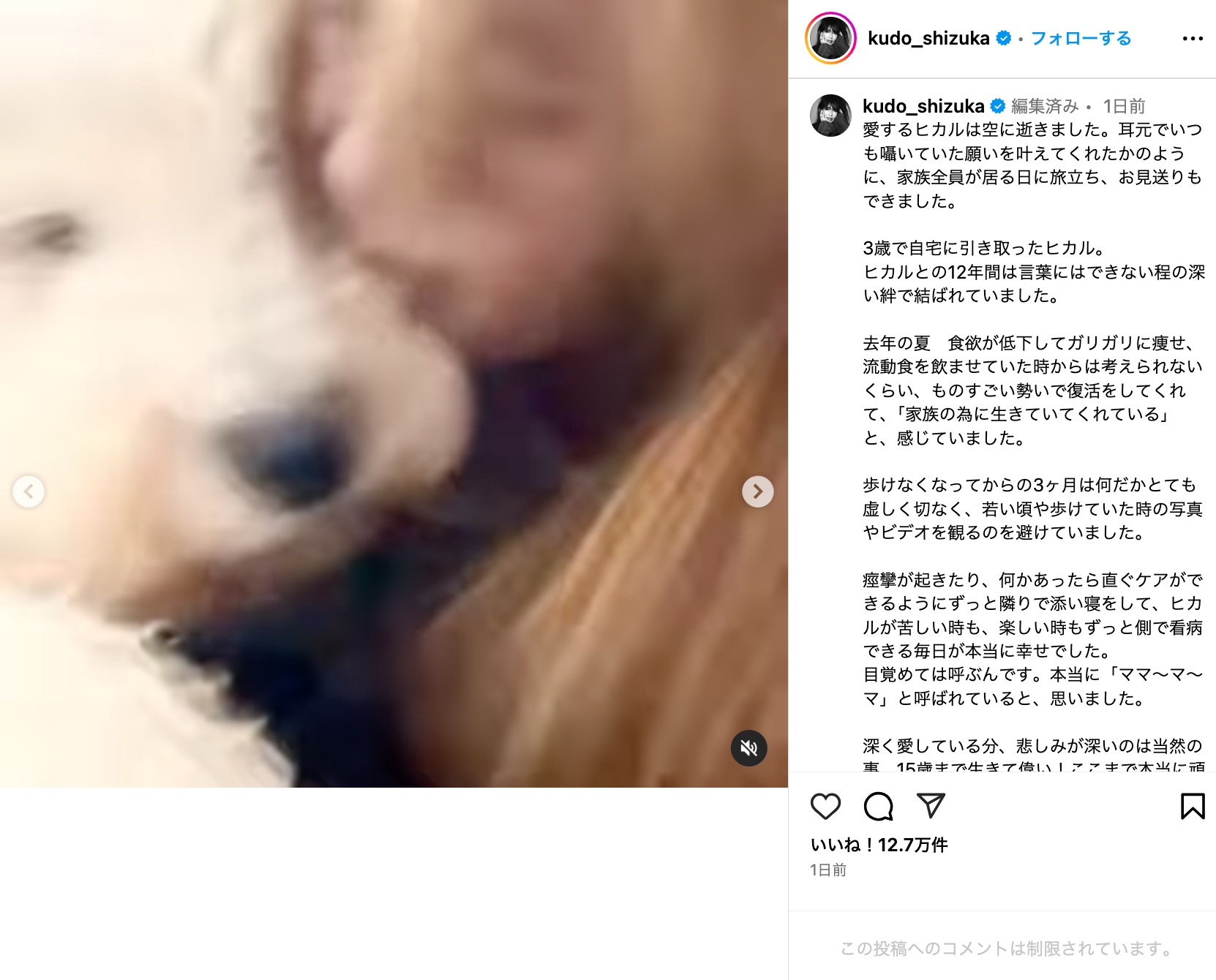 工藤静香、愛犬との別れに深い悲しみの画像