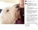 工藤静香、愛犬との別れに深い悲しみの画像