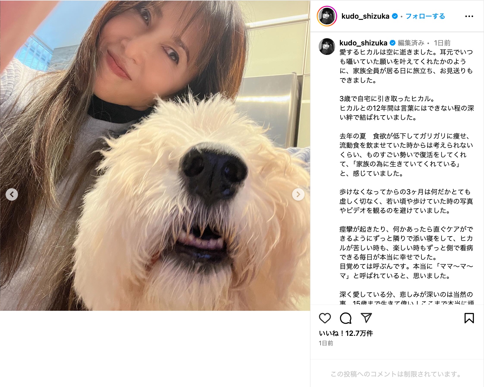 工藤静香、愛犬との別れに深い悲しみの画像