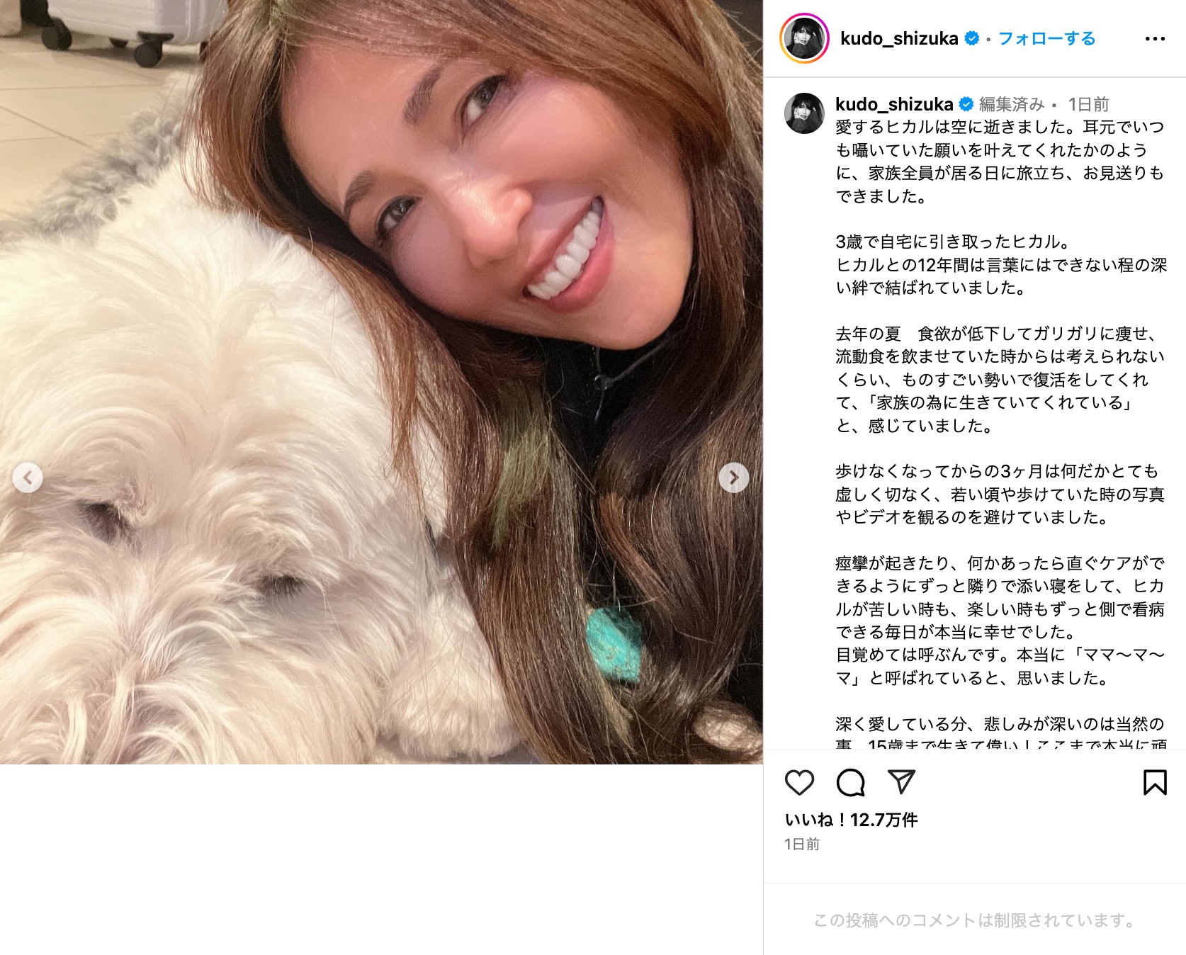 工藤静香、愛犬との別れに深い悲しみの画像