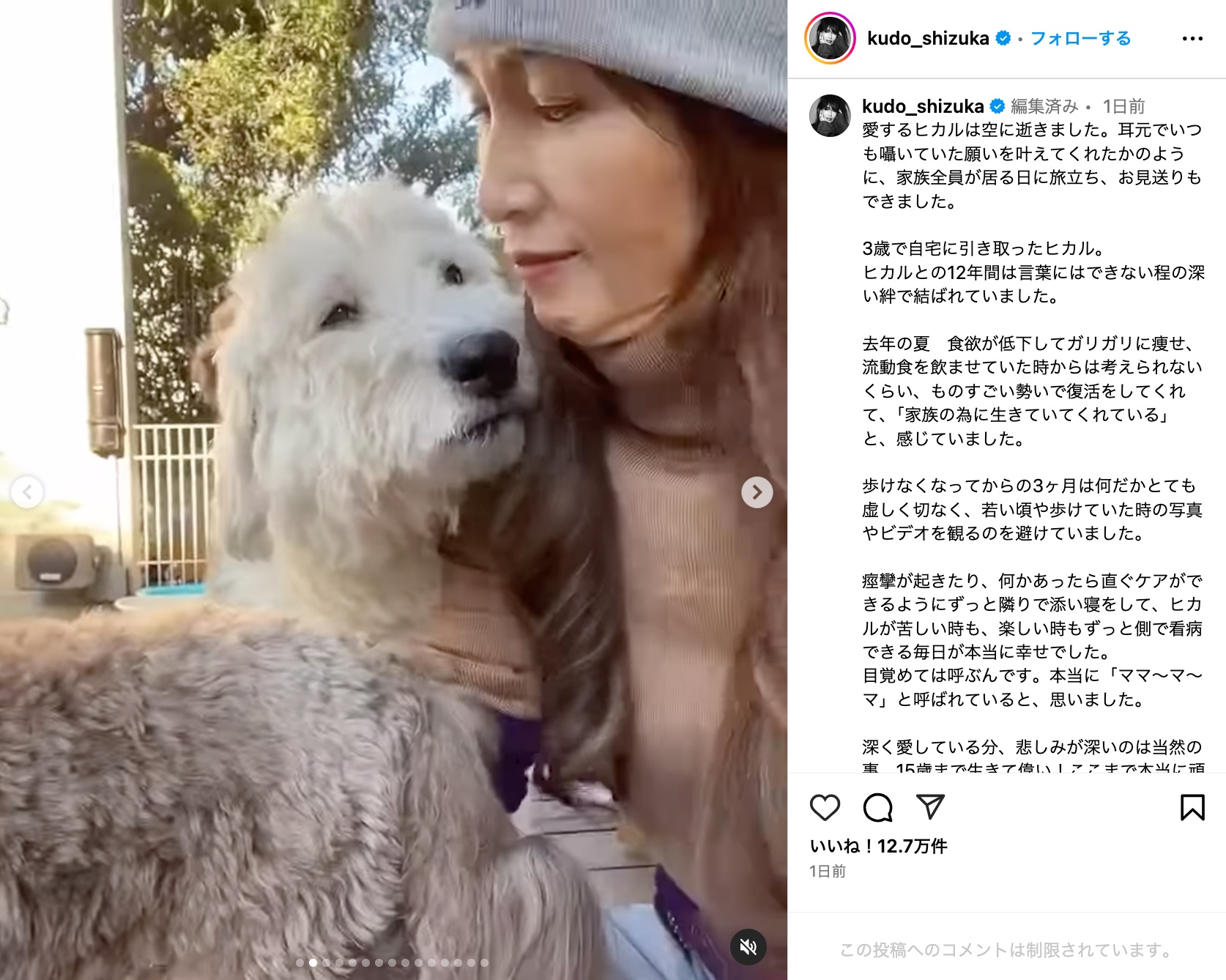 工藤静香、愛犬との別れに深い悲しみの画像