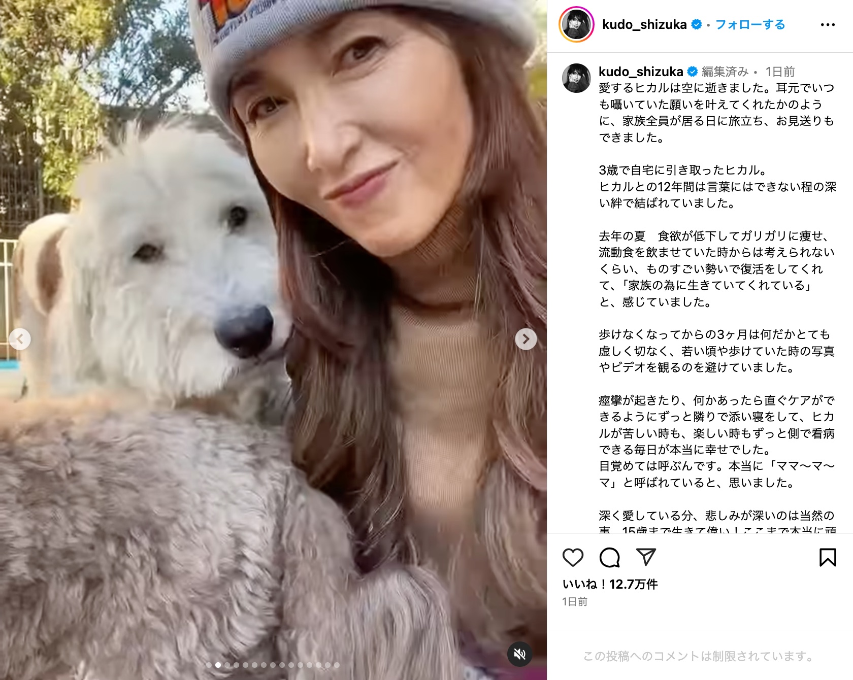 工藤静香、愛犬との別れに深い悲しみの画像